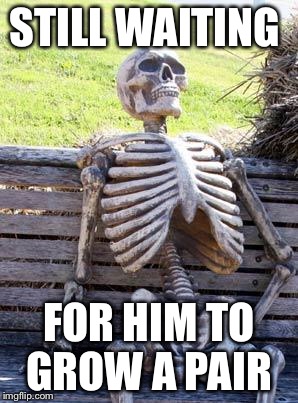 Waiting Skeleton Meme | STILL WAITING FOR HIM TO GROW A PAIR | image tagged in memes,waiting skeleton | made w/ Imgflip meme maker