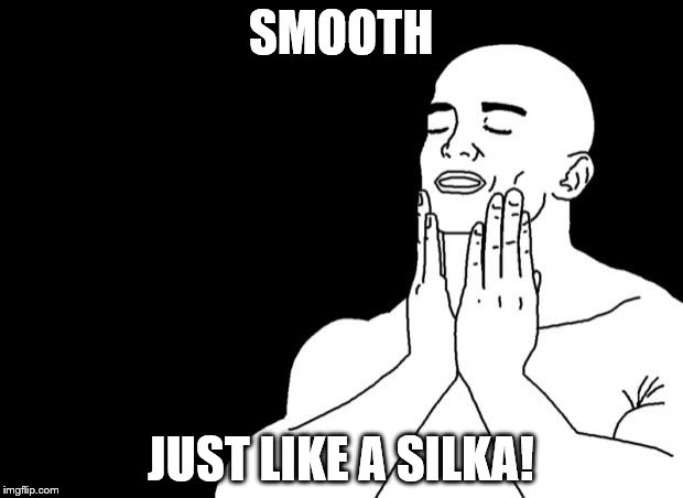 Smooth Face | SMOOTH; JUST LIKE A SILKA! | image tagged in smooth face | made w/ Imgflip meme maker