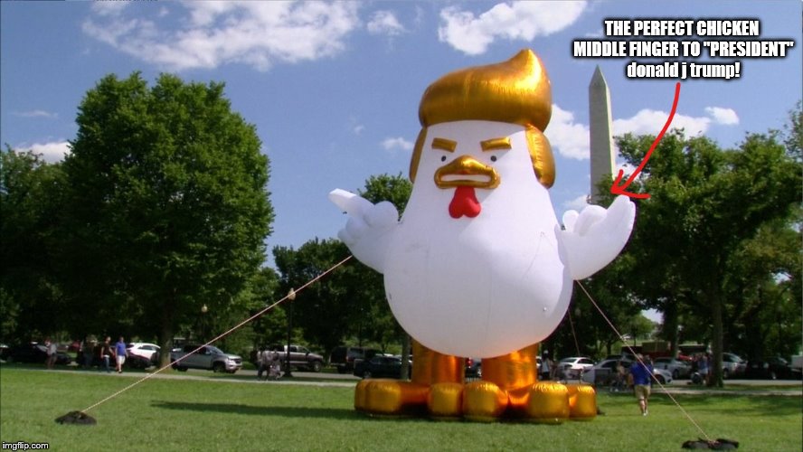 damn that trump Chicken is Really Stickin' it to "President" donald j trump! | THE PERFECT CHICKEN MIDDLE FINGER TO "PRESIDENT" donald j trump! | image tagged in middle finger,trump chicken,mega trump chicken middle finger,trump is a liar,trump is a moron | made w/ Imgflip meme maker