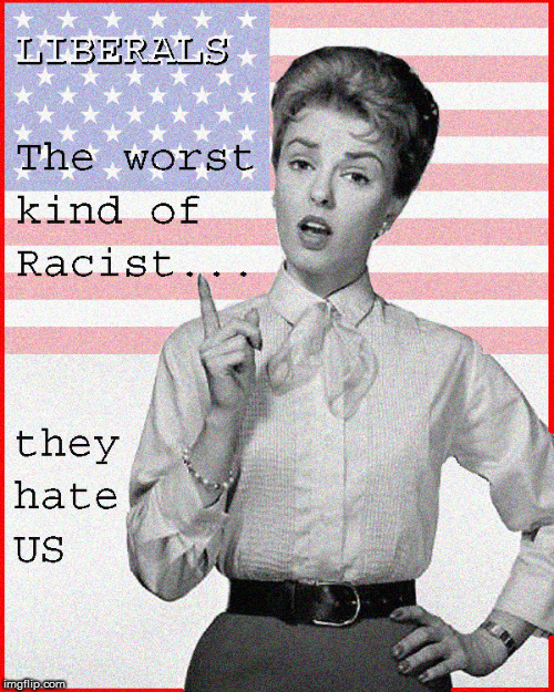 The worst kind of racist... | image tagged in libtards,funny,politics lol,current events,god bless america,liberals | made w/ Imgflip meme maker