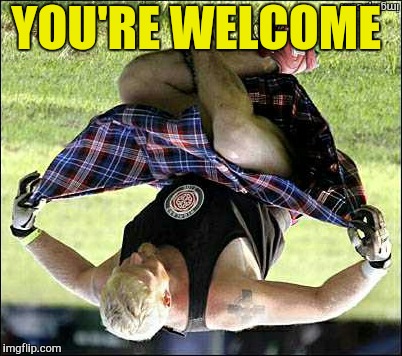 Bow | YOU'RE WELCOME | image tagged in bow | made w/ Imgflip meme maker