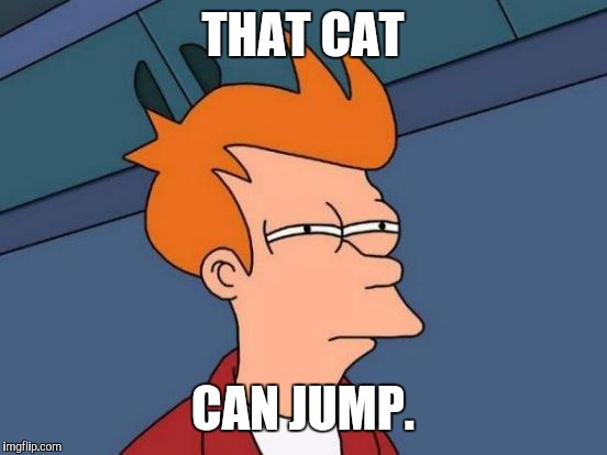 Futurama Fry Meme | THAT CAT CAN JUMP. | image tagged in memes,futurama fry | made w/ Imgflip meme maker