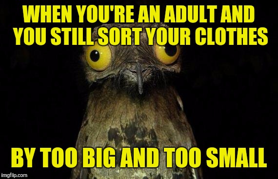 When you clean out your closet | WHEN YOU'RE AN ADULT AND YOU STILL SORT YOUR CLOTHES; BY TOO BIG AND TOO SMALL | image tagged in memes,weird stuff i do potoo | made w/ Imgflip meme maker