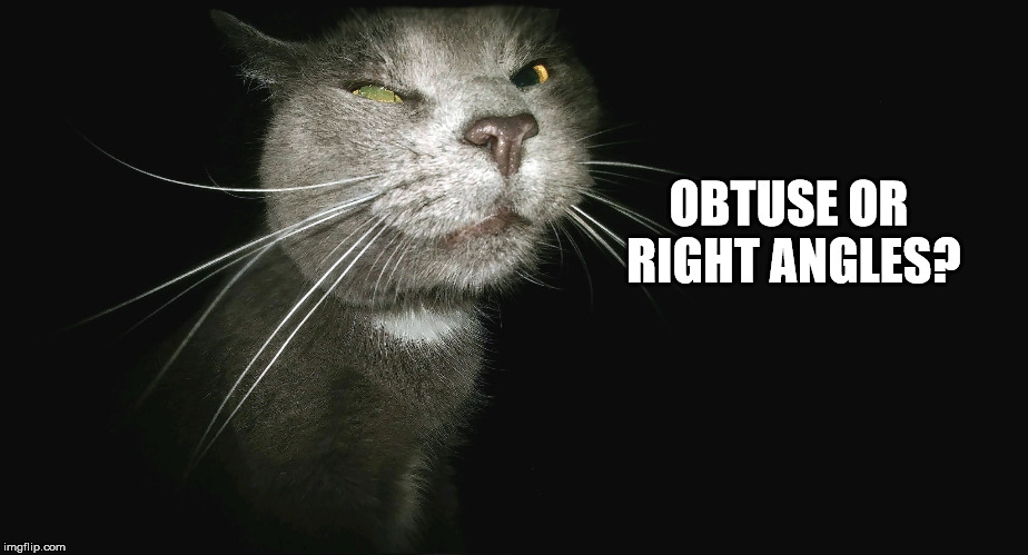 Stalker Cat | OBTUSE OR RIGHT ANGLES? | image tagged in stalker cat | made w/ Imgflip meme maker