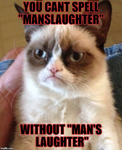 Grumpy Cat | YOU CANT SPELL "MANSLAUGHTER"; WITHOUT "MAN'S LAUGHTER" | image tagged in memes,grumpy cat | made w/ Imgflip meme maker