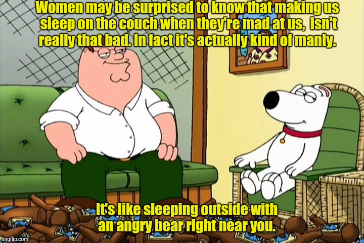 It could be worse.  | Women may be surprised to know that making us sleep on the couch when they're mad at us,  isn't really that bad. In fact it's actually kind of manly. It's like sleeping outside with an angry bear right near you. | image tagged in funny meme,peter griffin,women,couch,angry bear | made w/ Imgflip meme maker