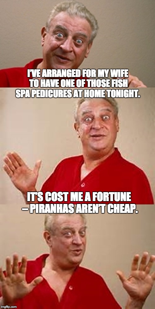 bad pun Dangerfield  | I’VE ARRANGED FOR MY WIFE TO HAVE ONE OF THOSE FISH SPA PEDICURES AT HOME TONIGHT. IT’S COST ME A FORTUNE – PIRANHAS AREN’T CHEAP. | image tagged in bad pun dangerfield | made w/ Imgflip meme maker