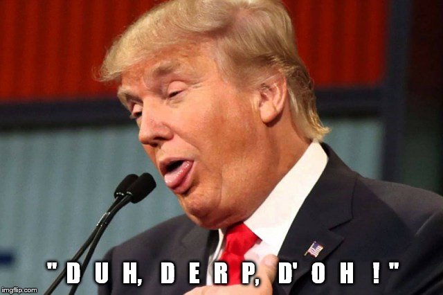 trump speaking his brand of "Presidential"! | "  D   U   H,    D   E   R   P,    D'   O   H    !  " | image tagged in duh,derp,doh,donald trump is an idiot,homer trump,trump unfit unqualified | made w/ Imgflip meme maker
