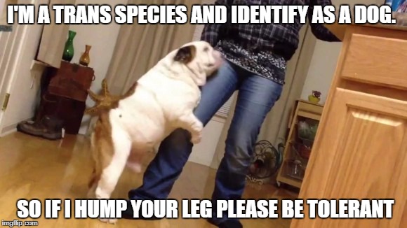 I'm a trans species and identify as a dog | I'M A TRANS SPECIES AND IDENTIFY AS A DOG. SO IF I HUMP YOUR LEG PLEASE BE TOLERANT | image tagged in i'm a trans species and identify as a dog | made w/ Imgflip meme maker