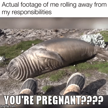 Not that I would really do that | YOU'RE PREGNANT???? | image tagged in gifs,scumbag steve | made w/ Imgflip video-to-gif maker