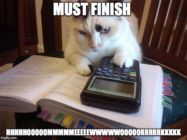 Math cat | MUST FINISH; HHHHHOOOOOMMMMMEEEEEWWWWWOOOOORRRRRKKKKK | image tagged in math cat | made w/ Imgflip meme maker