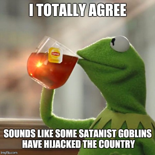 But That's None Of My Business Meme | I TOTALLY AGREE SOUNDS LIKE SOME SATANIST GOBLINS HAVE HIJACKED THE COUNTRY | image tagged in memes,but thats none of my business,kermit the frog | made w/ Imgflip meme maker