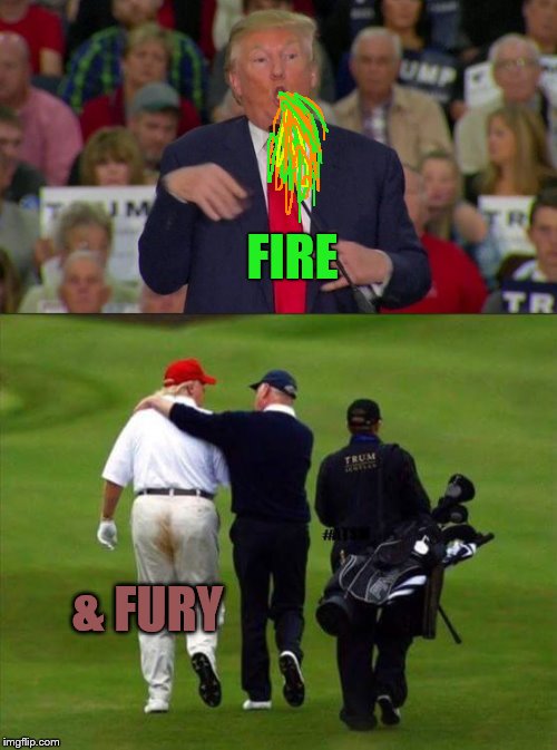 Fire and fury | FIRE; & FURY | image tagged in make america great again,trump,north korea,fire and fury,funny memes,political memes | made w/ Imgflip meme maker