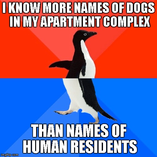 Socially Awesome Awkward Penguin Meme | I KNOW MORE NAMES OF DOGS IN MY APARTMENT COMPLEX; THAN NAMES OF HUMAN RESIDENTS | image tagged in memes,socially awesome awkward penguin | made w/ Imgflip meme maker