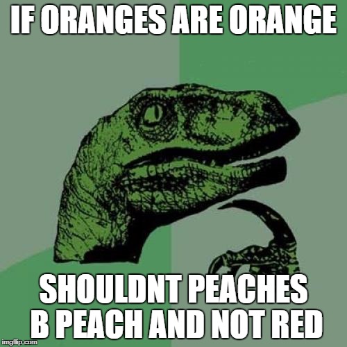 Philosoraptor Meme |  IF ORANGES ARE ORANGE; SHOULDNT PEACHES B PEACH AND NOT RED | image tagged in memes,philosoraptor | made w/ Imgflip meme maker