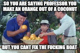 Its a three hour tour ffs | SO YOU ARE SAYING PROFESSOR YOU MAKE AN ORANGE OUT OF A COCONUT BUT YOU CANT FIX THE F**KING BOAT | image tagged in memes,gilligans island,dank memes,funny | made w/ Imgflip meme maker