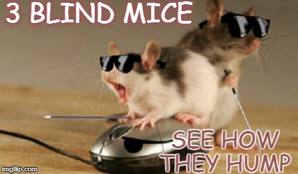 threesome blind mice nsfw | 3 BLIND MICE; SEE HOW THEY HUMP | image tagged in threesome,mice,memes,funny,blind | made w/ Imgflip meme maker
