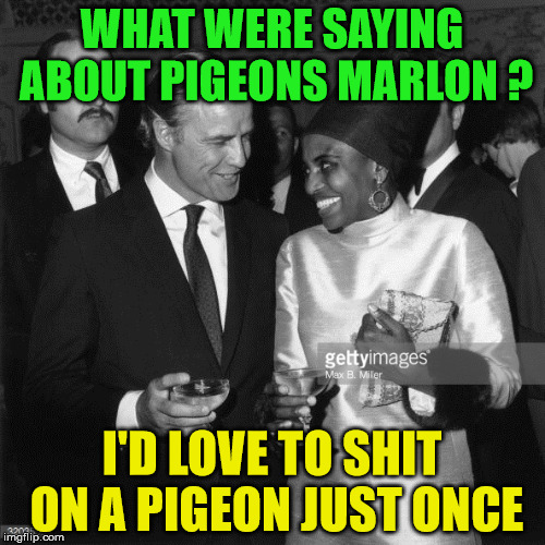 WHAT WERE SAYING ABOUT PIGEONS MARLON ? I'D LOVE TO SHIT ON A PIGEON JUST ONCE | made w/ Imgflip meme maker