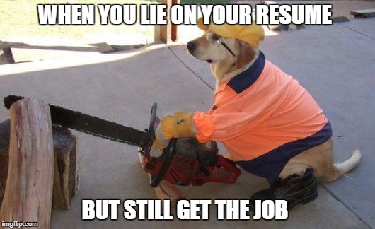Lies On Your Resume Imgflip