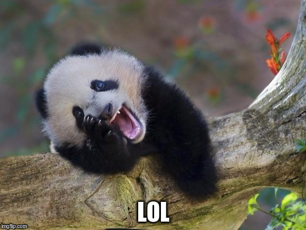 LOL | made w/ Imgflip meme maker