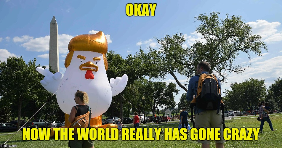 Seriously?? | OKAY; NOW THE WORLD REALLY HAS GONE CRAZY | image tagged in trump,chicken,giant balloon,why would anyone do this,the world has gone crazy,animals | made w/ Imgflip meme maker