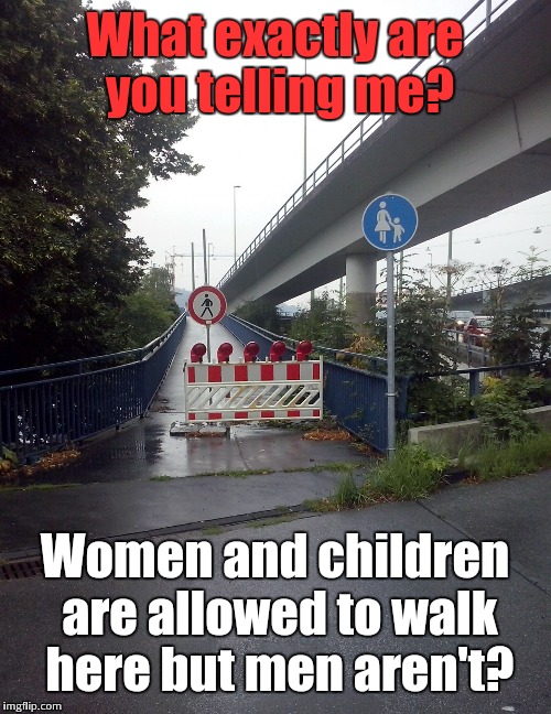 German sign language | What exactly are you telling me? Women and children are allowed to walk here but men aren't? | image tagged in walk but don't walk,sexism | made w/ Imgflip meme maker