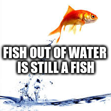 FISH OUT OF WATER IS STILL A FISH | made w/ Imgflip meme maker