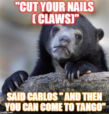 Confession Bear Meme | "CUT YOUR NAILS ( CLAWS)"; SAID CARLOS '' AND THEN YOU CAN COME TO TANGO" | image tagged in memes,confession bear | made w/ Imgflip meme maker