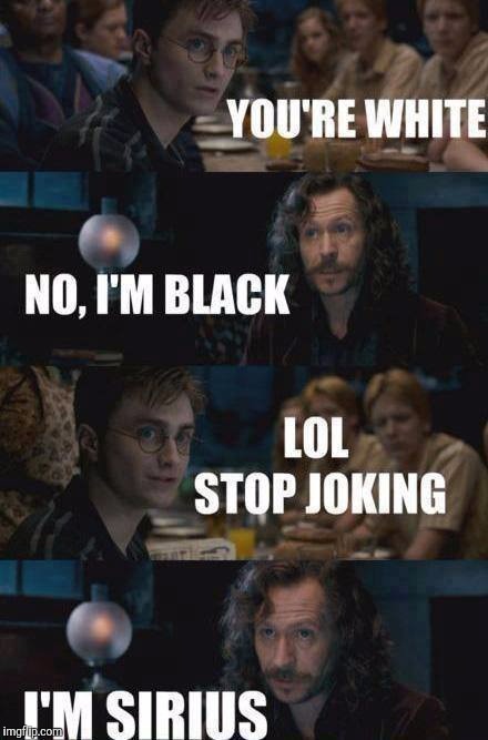 Harry doesn't really get puns... | image tagged in harry potter,sirius black,puns | made w/ Imgflip meme maker