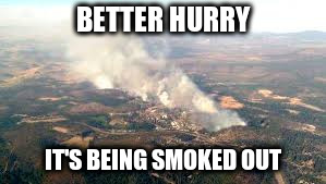 BETTER HURRY IT'S BEING SMOKED OUT | made w/ Imgflip meme maker