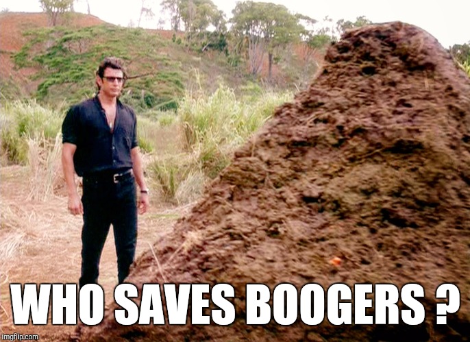 Memes, Poop, Jurassic Park | WHO SAVES BOOGERS ? | image tagged in memes poop jurassic park | made w/ Imgflip meme maker