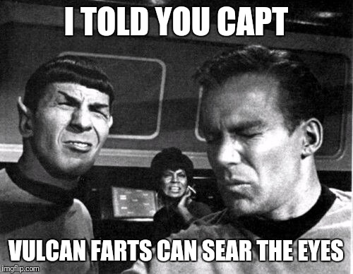 Hard on the ears too | I TOLD YOU CAPT; VULCAN FARTS CAN SEAR THE EYES | image tagged in star trek space farts | made w/ Imgflip meme maker
