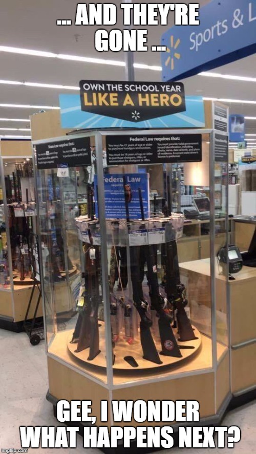 You can't fix stupid! | ... AND THEY'RE GONE ... GEE, I WONDER WHAT HAPPENS NEXT? | image tagged in guns,stupidity,walmart | made w/ Imgflip meme maker