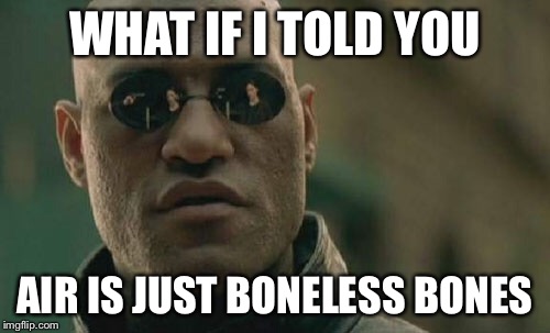 Matrix Morpheus | WHAT IF I TOLD YOU; AIR IS JUST BONELESS BONES | image tagged in memes,matrix morpheus | made w/ Imgflip meme maker