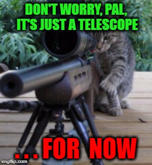 Sniper Cat | DON'T WORRY, PAL, IT'S JUST A TELESCOPE; . . . FOR  NOW | image tagged in sniper cat | made w/ Imgflip meme maker