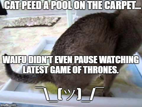 Game of Throne Allure... | CAT PEED A POOL ON THE CARPET... WAIFU DIDN'T EVEN PAUSE WATCHING LATEST GAME OF THRONES. ¯\_(ツ)_/¯ | image tagged in cat peeing,got,game of thrones | made w/ Imgflip meme maker