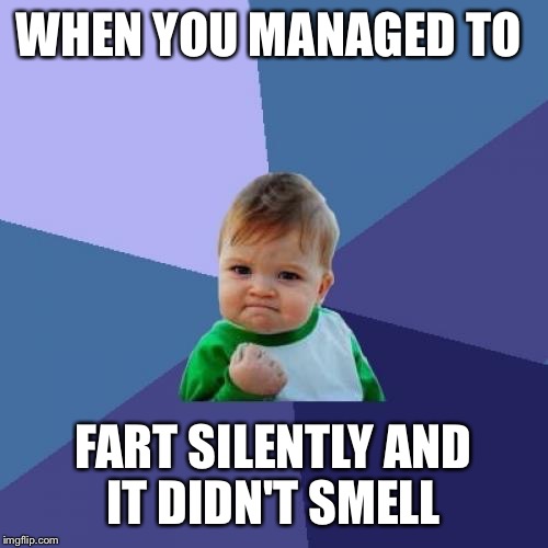 Success Kid | WHEN YOU MANAGED TO; FART SILENTLY AND IT DIDN'T SMELL | image tagged in memes,success kid | made w/ Imgflip meme maker