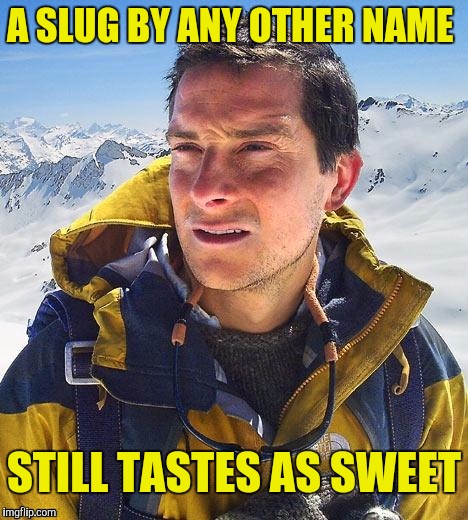 A SLUG BY ANY OTHER NAME STILL TASTES AS SWEET | made w/ Imgflip meme maker