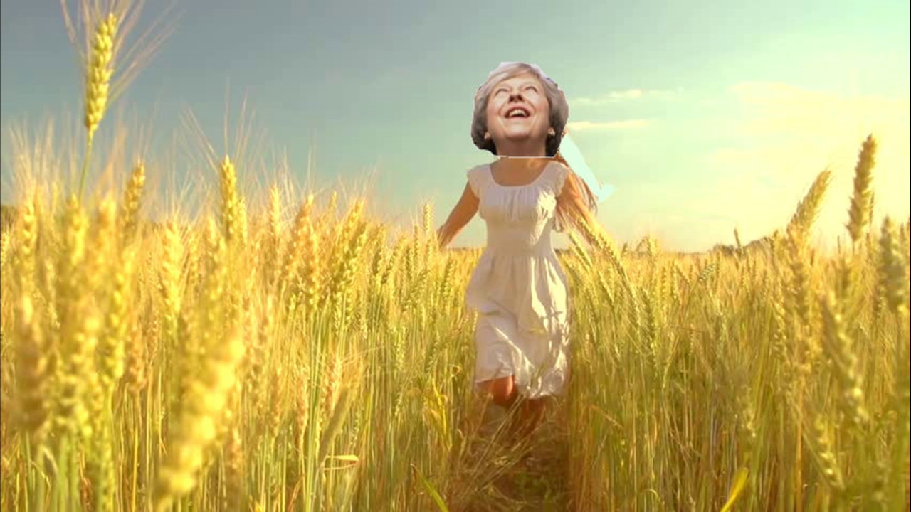 Theresa May wheat field Blank Meme Template
