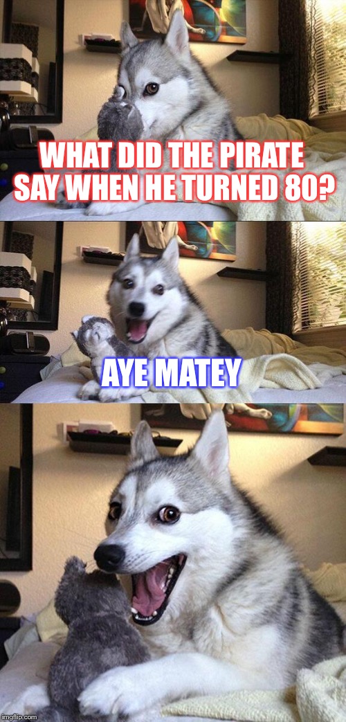 Bad Pun Dog | WHAT DID THE PIRATE SAY WHEN HE TURNED 80? AYE MATEY | image tagged in memes,bad pun dog | made w/ Imgflip meme maker