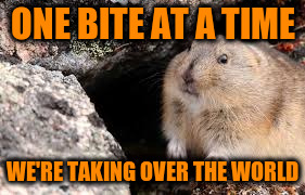 ONE BITE AT A TIME WE'RE TAKING OVER THE WORLD | made w/ Imgflip meme maker