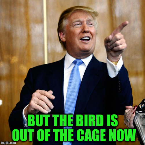 BUT THE BIRD IS OUT OF THE CAGE NOW | made w/ Imgflip meme maker