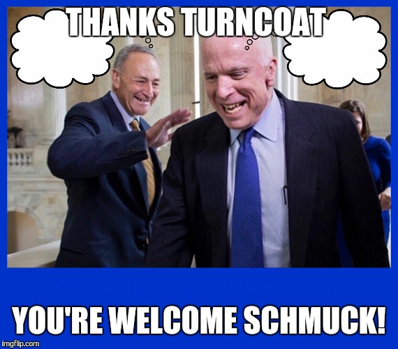 Hero John McCain | THANKS TURNCOAT; YOU'RE WELCOME SCHMUCK! | image tagged in hero john mccain | made w/ Imgflip meme maker