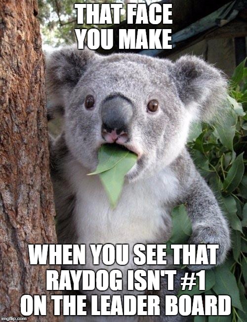Suprised Koala | THAT FACE YOU MAKE; WHEN YOU SEE THAT RAYDOG ISN'T #1 ON THE LEADER BOARD | image tagged in suprised koala | made w/ Imgflip meme maker