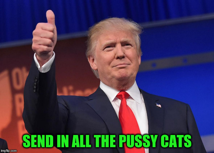SEND IN ALL THE PUSSY CATS | made w/ Imgflip meme maker