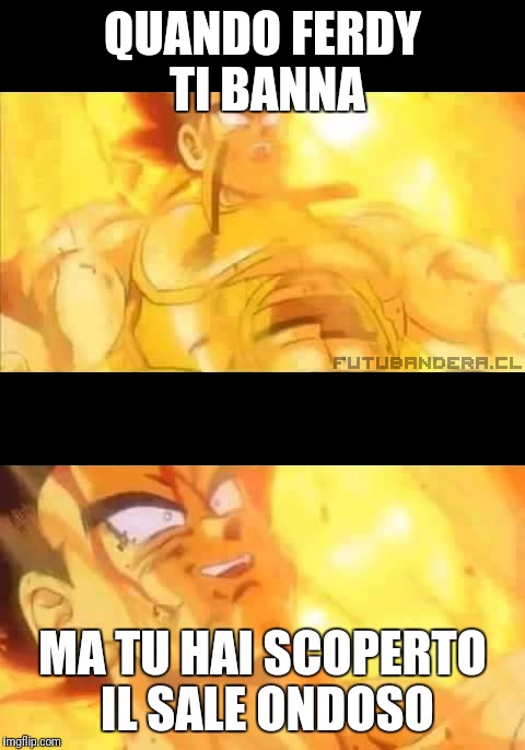 Vegeta Dead | QUANDO FERDY TI BANNA; MA TU HAI SCOPERTO IL SALE ONDOSO | image tagged in vegeta dead | made w/ Imgflip meme maker