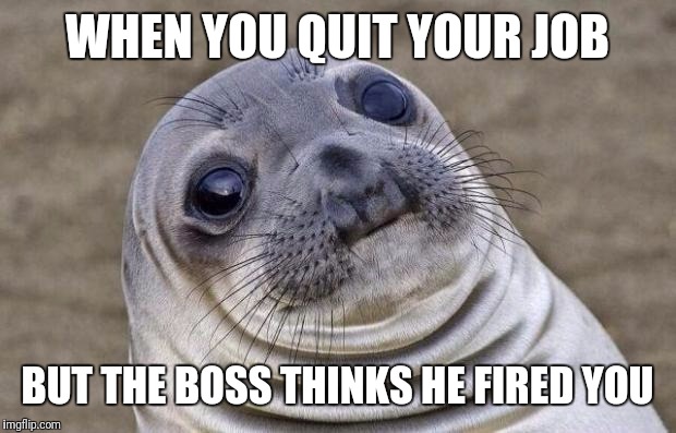 You're Quit! | WHEN YOU QUIT YOUR JOB; BUT THE BOSS THINKS HE FIRED YOU | image tagged in memes,awkward moment sealion | made w/ Imgflip meme maker