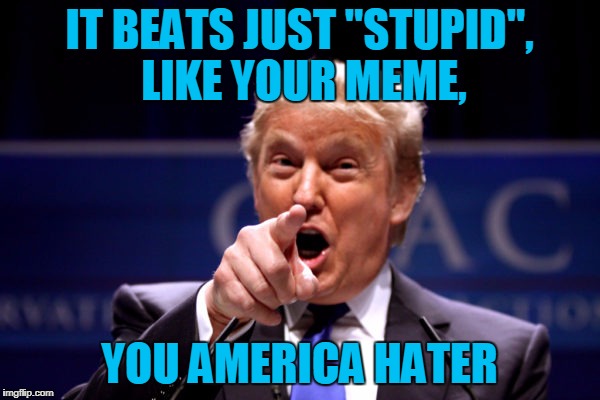 Your President BWHA-HA-HA! | IT BEATS JUST "STUPID", LIKE YOUR MEME, YOU AMERICA HATER | image tagged in your president bwha-ha-ha | made w/ Imgflip meme maker