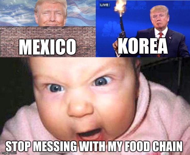 What if it's about "Trump vs Delivery Services" | KOREA; MEXICO; STOP MESSING WITH MY FOOD CHAIN | image tagged in memes,funny,mexico,korea,trump,food | made w/ Imgflip meme maker