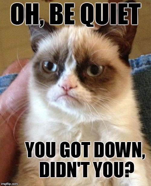 Grumpy Cat Meme | OH, BE QUIET YOU GOT DOWN, DIDN'T YOU? | image tagged in memes,grumpy cat | made w/ Imgflip meme maker